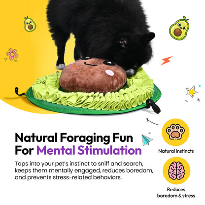 Snuffle Mat for Natural Nose Work & Mental Stimulation
