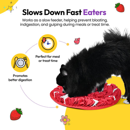 Snuffle Mat for Natural Nose Work & Mental Stimulation
